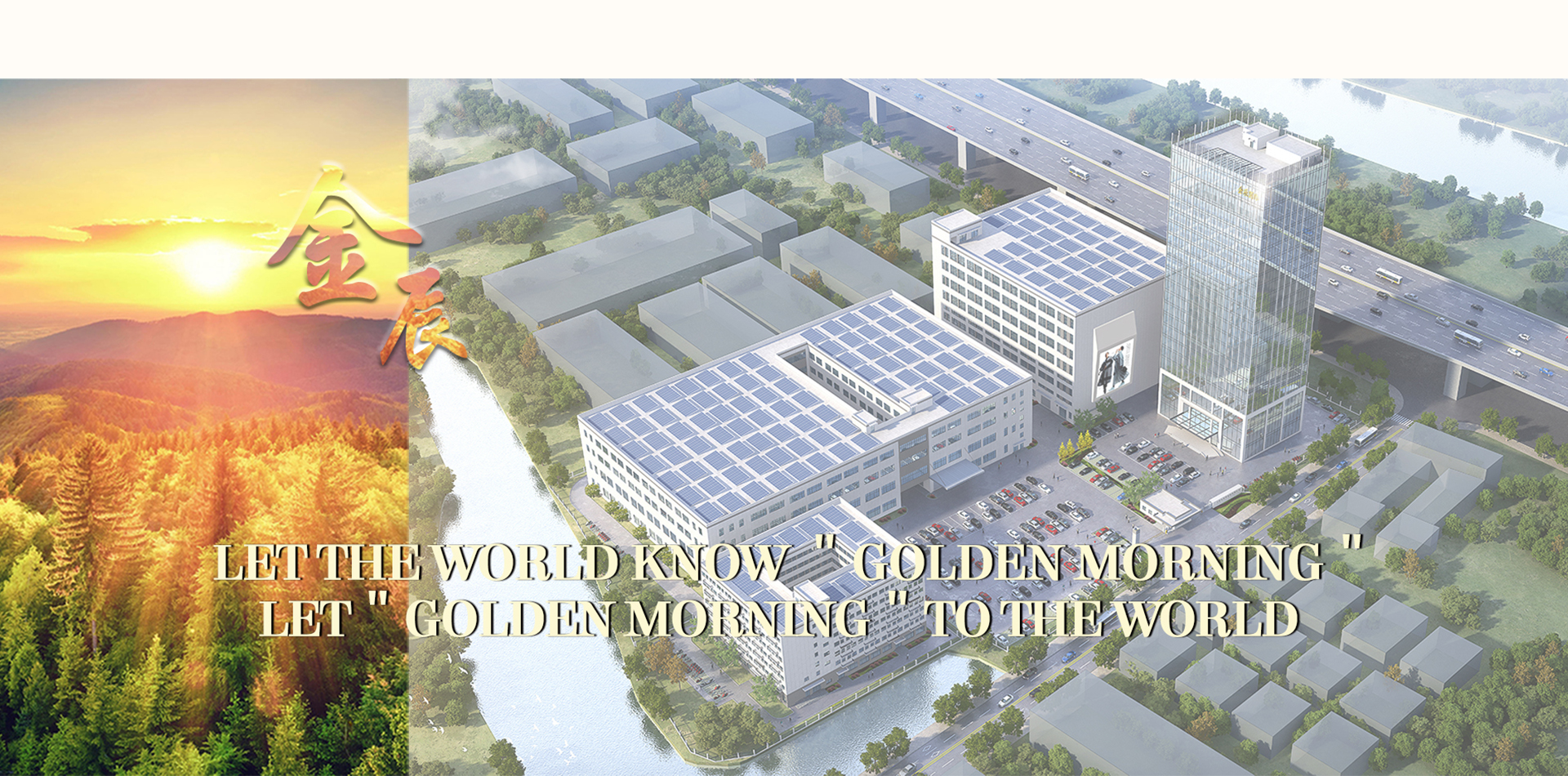 Manhã Dourada de Jiangsu Tricô Co., Ltd.